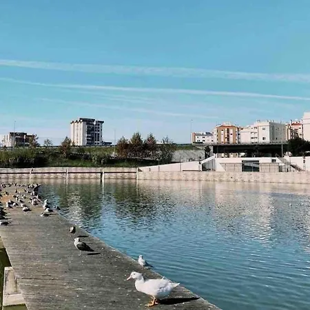 - Cost - Airport - Subway Daire *